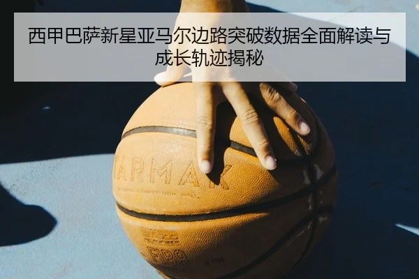 xi-jia-ba-sa-xin-xing-ya-ma-er-bian-lu-tu-po-shu-ju-quan-mian-jie-du-yu-cheng-zhang-gui-ji-jie-mi-2-721.jpg